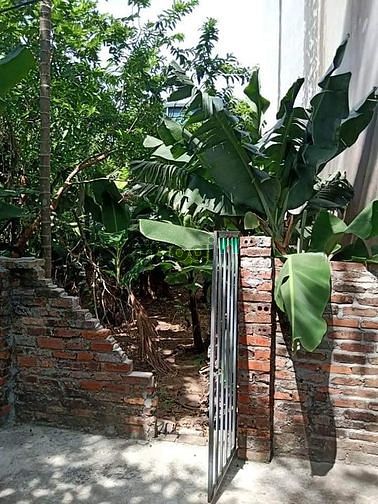 Hình ảnh Bán gấp 31 m2 đất ngõ phố Vũ Đức Thận, Long Biên, MT 6,9m, 1,85 tỷ.