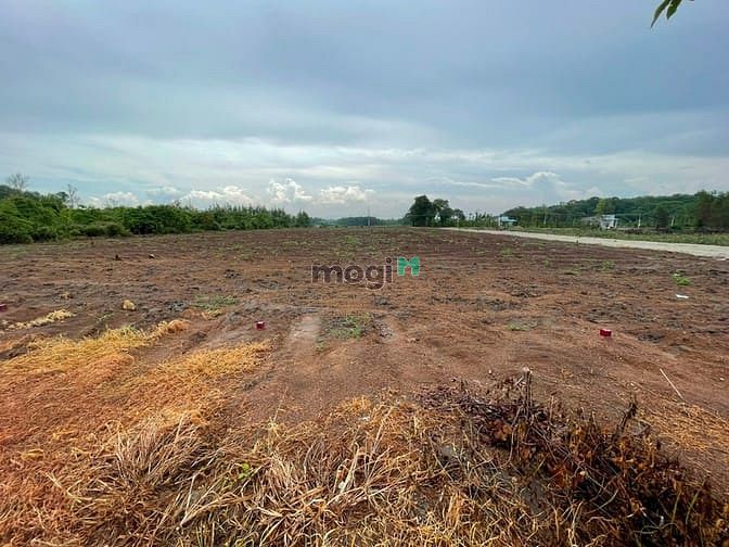 Hình ảnh Bán đất thổ cư, SHR, mặt tiền đường Mỹ Xuân - Ngãi Giao