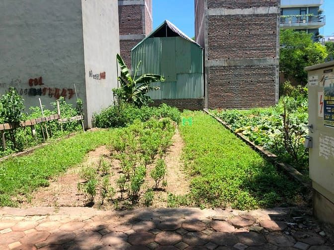Hình ảnh Bán siêu phẩm 106m đất kinh doanh mặt phố Giang Biên, Long Biên:
