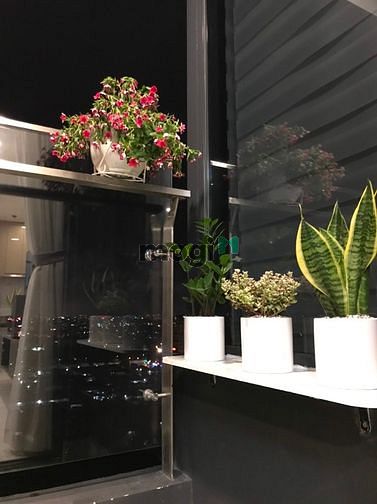Hình ảnh Giá Tốt cho thuê Trang Chủ MB66.COM / Đăng Ký Tặng 66K Richstar 65m2 Cực Mới Cao Cấp