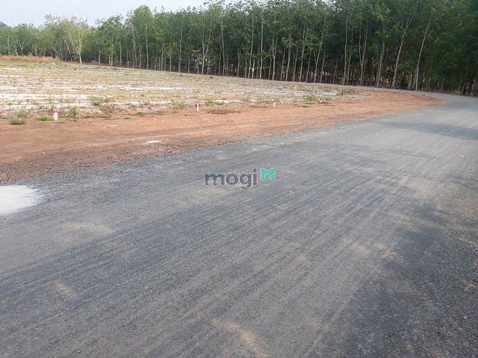 Hình ảnh Đất nền Minh Lập diện tích 1200m2