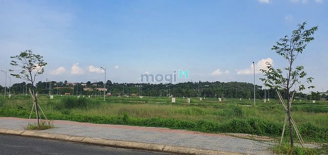 Hình ảnh Đất mặt tiền đường hương lộ 2 đối diện sân golf long thành