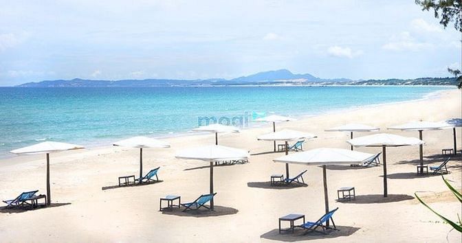 Hình ảnh Sở Hữu Đất Nền Ven Biển Tp Cam Ranh - Golden Bay 602
