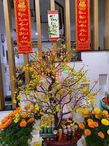 Hình ảnh Nhà 2 lầu,sân thượng,  301/ Trần Xuân Soạn