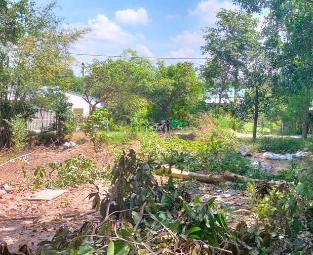 Hình ảnh *ĐẤT THỔ VƯỜN Củ CHI - Sổ 350m2, thổ 300m2, Đ.538, Nhuận Đức, 2.35 tỷ