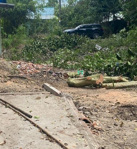 Hình ảnh *ĐẤT THỔ VƯỜN Củ CHI - Sổ 350m2, thổ 300m2, Đ.538, Nhuận Đức, 2.35 tỷ