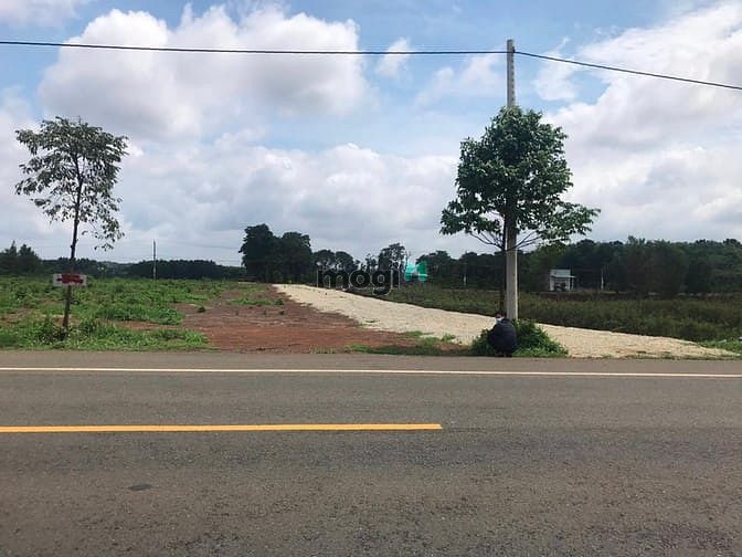 Hình ảnh Khu Dân Cư Phú Mỹ Avenue - Đất vàng mặt tiền đại lộ