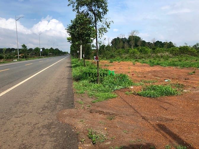 Hình ảnh Khu Dân Cư Phú Mỹ Avenue - Đất vàng mặt tiền đại lộ