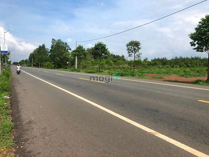 Hình ảnh Khu Dân Cư Phú Mỹ Avenue - Đất vàng mặt tiền đại lộ