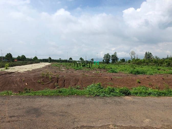 Hình ảnh Khu Dân Cư Phú Mỹ Avenue - Đất vàng mặt tiền đại lộ