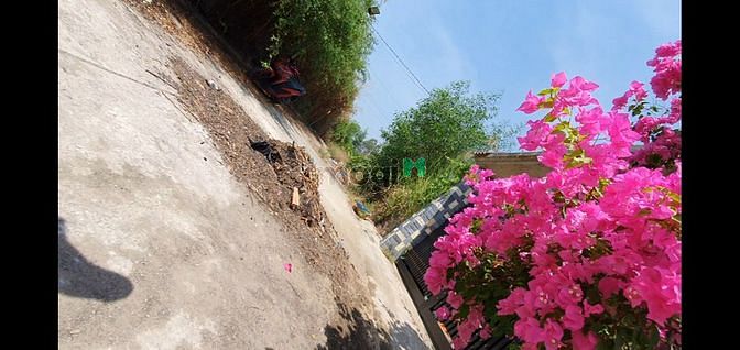 Hình ảnh 12mx38m, nở hậu 16m,2009/ Lê Văn Lương