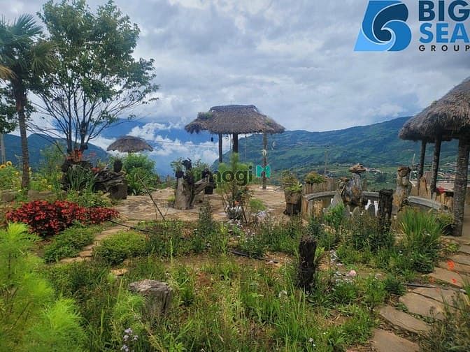 Hình ảnh Đất nền Y TÝ đang HOT giá rẻ từ dân.