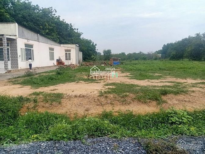 Hình ảnh Đất MT+Xưởng-Trung Lập Thượng-Củ Chi- 28000m2- Chỉ 168 tỷ