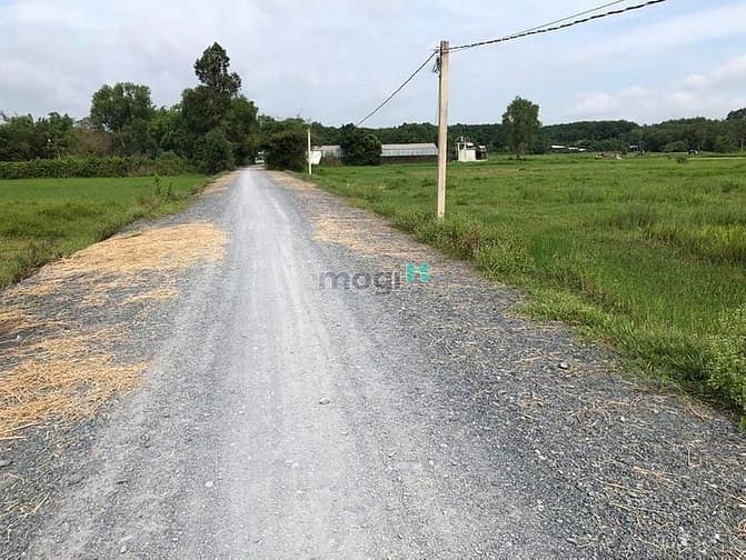 Hình ảnh Bán Lô đất khu dân cư đường Phan Thị Sửu An Phú Củ Chi 363m2 giá 1,4 t