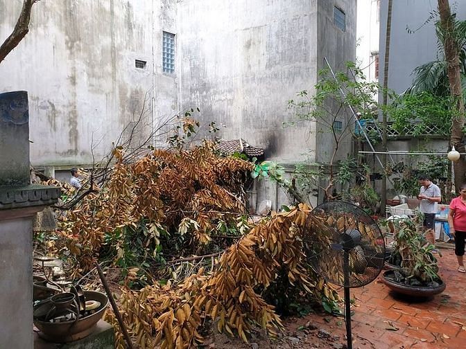 Hình ảnh Bán đất Đội Cấn, 150m2, mt 7m, ngõ ba gác, 11 tỷ