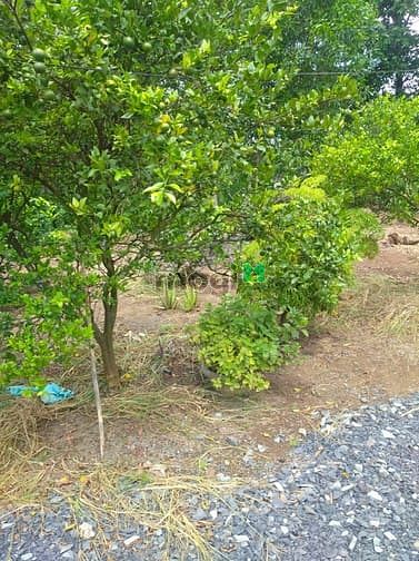 Hình ảnh Bán 5300m2 đất vườn Trị An Vĩnh Cửu có 900m tc