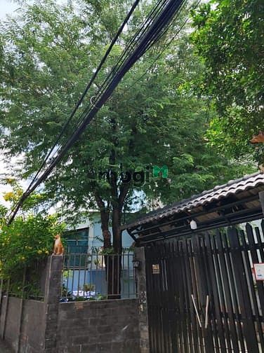 Hình ảnh Lê Đức Thọ - HXH 6M - 3 TẦNG - 64M2 - CHỈ 4.8 TỶ