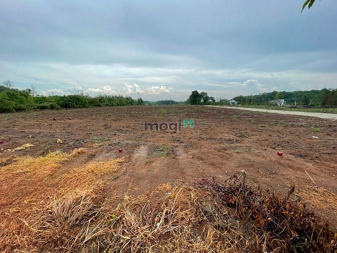 Hình ảnh Chính chủ cần bán vài lô thổ cư 100m2 - Tx Phú Mỹ - BRVT