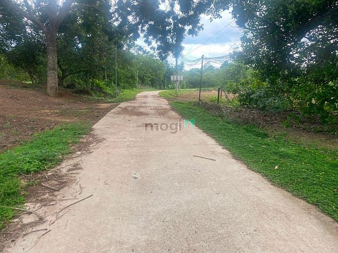 Hình ảnh Bán đất Thanh Lương, TX. Bình Long, DT:5x40, TC50m2, SHR, 360 triệu