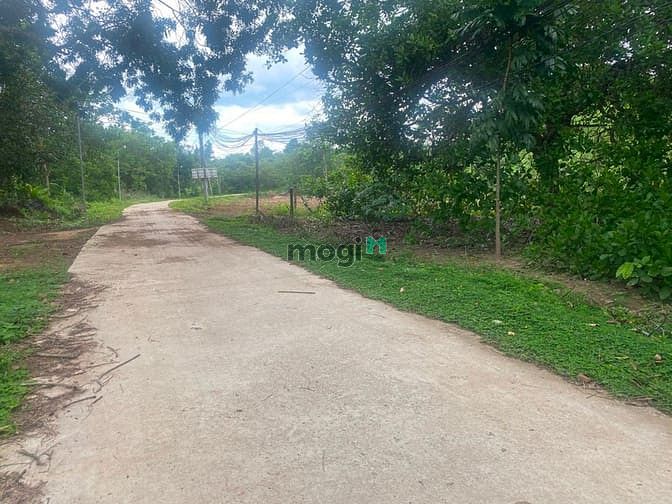 Hình ảnh Bán đất Thanh Lương, TX. Bình Long, DT:5x40, TC50m2, SHR, 360 triệu