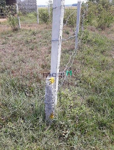 Hình ảnh Đất xã Trung Lập Hạ Củ Chi 4m x 29m= 116m2 chỉ 900 triệu