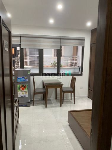 Hình ảnh Cho Thuê CCMN Phan Kế Bính - Đào Tấn 25m Ra Phố Nhà 7 Tầng Mới xây