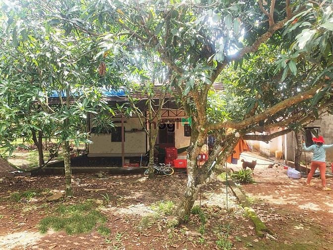 Hình ảnh Đất 1000m2 thổ cư, sát hồ trị an,mặt tiền đường bê tông, có sẵn nhà