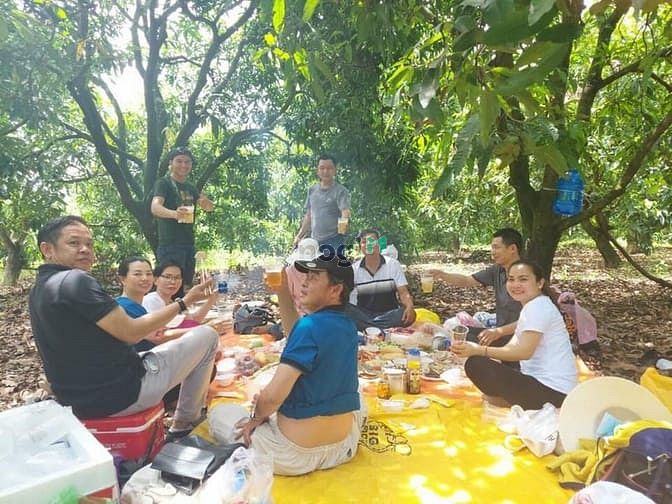 Hình ảnh Đất 1000m2 thổ cư, sát hồ trị an,mặt tiền đường bê tông, có sẵn nhà