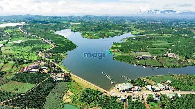 Hình ảnh Đất 1000m2 thổ cư, sát hồ trị an,mặt tiền đường bê tông, có sẵn nhà