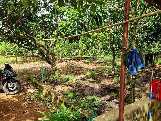 Hình ảnh Đất 1000m2 thổ cư, sát hồ trị an,mặt tiền đường bê tông, có sẵn nhà