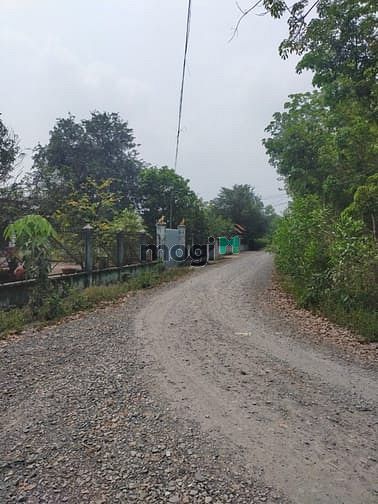 Hình ảnh Đất 2 mặt tiền, 1800m2 (300m2 thổ cư) đường An Nhơn Tây-Củ Chi, 6.5 tỷ
