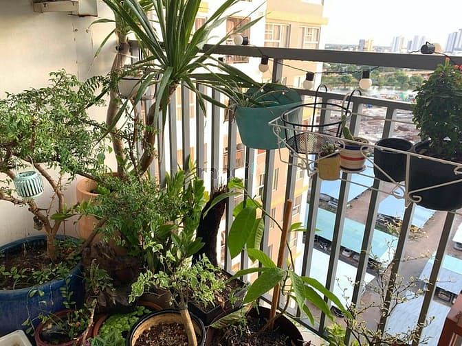 Hình ảnh Bán Gấp Galaxy 9, View Kênh Tẻ, 2PN 2WC, 65m2, Chốt 3,65 tỷ ( Sổ Hồng)