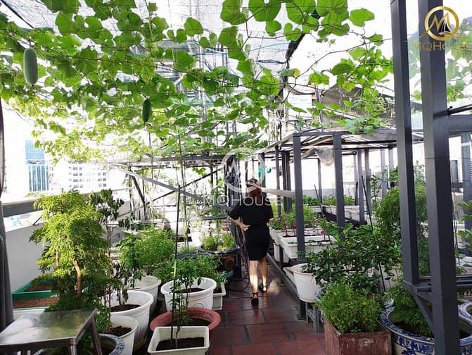 Hình ảnh CĂN HỘ full nội thất, ban công sân vườn cực chill sát chợ Tân Định Q1