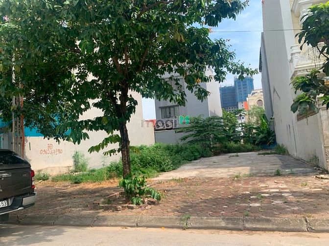 Hình ảnh Bán 119M đất khu  B1-27 trong 31ha Trâu Quỳ