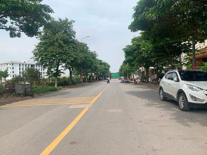 Hình ảnh Bán 119M đất khu  B1-27 trong 31ha Trâu Quỳ