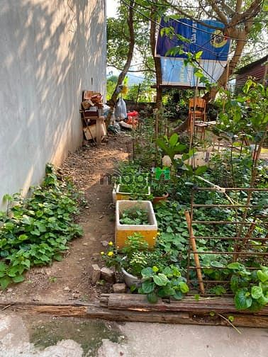 Hình ảnh Chính chủ cần tiền bán gấp đất thổ cư