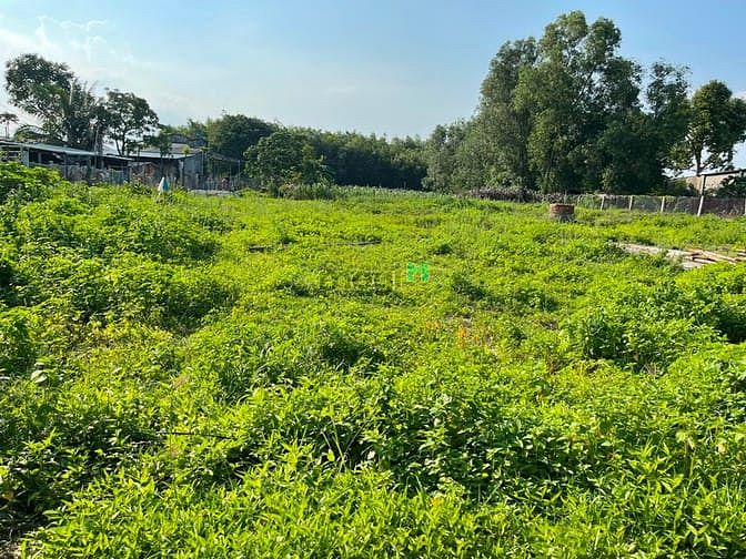 Hình ảnh Bán đất thổ cư Nguyễn Thông, thị xã LaGi giá ngộp