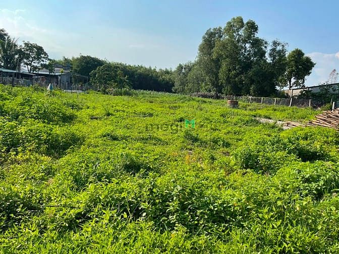 Hình ảnh Bán đất thổ cư Nguyễn Thông, thị xã LaGi giá ngộp