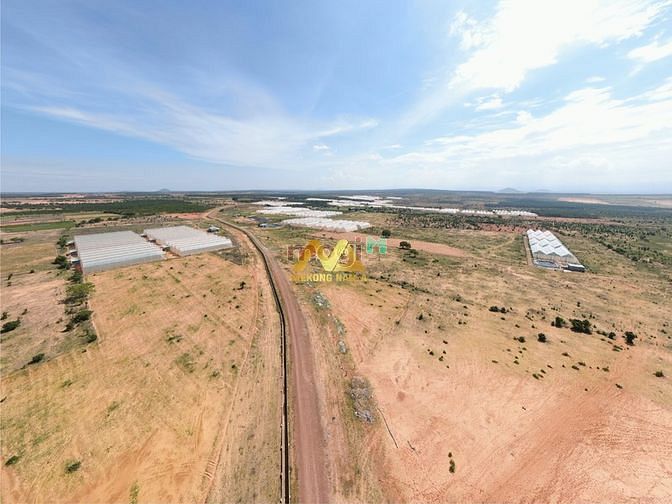 Hình ảnh BÁN GẤP: lô 10000m2 đất THANH LONG, ngay ĐƯỜNG LỚN