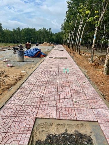 Hình ảnh Mặt tiền 30m đất Tân Phước sổ sẳn Trang MB66.COM Chính Thức - MB 66 Uy Tín sinh lời chỉ 600 triệu