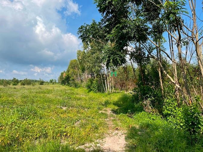 Hình ảnh Bán 3 mẫu đất Tân Tiến, thị xã LaGi rẻ nhất