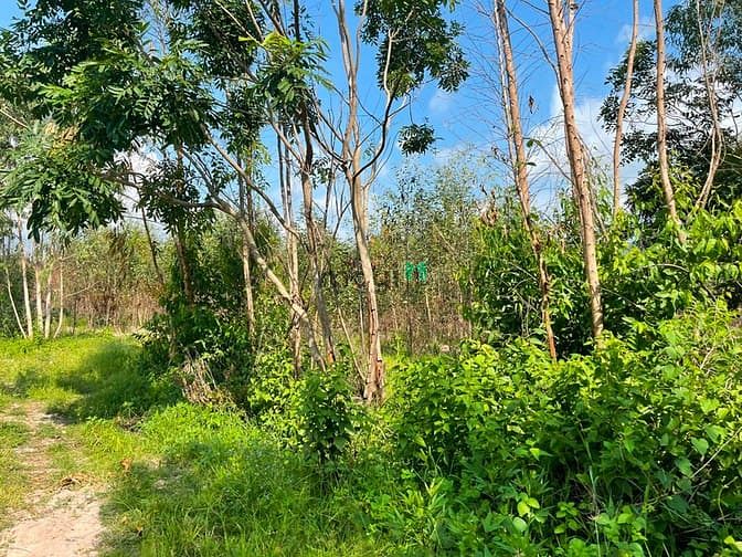 Hình ảnh Bán 3 mẫu đất Tân Tiến, thị xã LaGi rẻ nhất