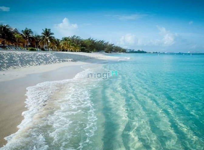 Hình ảnh Goldenbay 602 khu đô thị bên vịnh vàng đắt giá