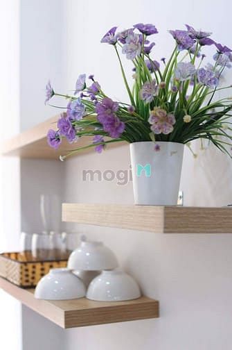 Hình ảnh ĐA DẠNG Studio_1PN riêng_phi rẻ_giá tốt Q1