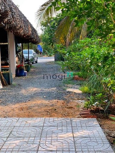 Hình ảnh Bán biệt thự vila đường, xa AN Sơn, Thuận AN, Bình Dương