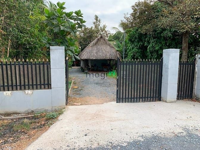 Hình ảnh Bán biệt thự vila đường, xa AN Sơn, Thuận AN, Bình Dương