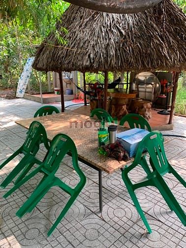Hình ảnh Bán biệt thự vila đường, xa AN Sơn, Thuận AN, Bình Dương