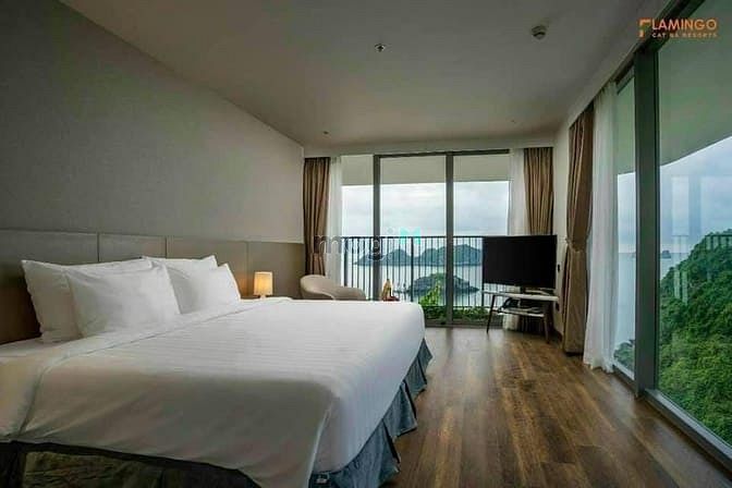 Hình ảnh 𝐜𝐡𝐢̉ 𝐭𝐮̛̀ 700𝐭𝐫 hữu ngay 𝐒𝐞𝐜𝐨𝐧𝐝𝐡𝐨𝐦𝐞 tại 𝐅𝐥𝐚mingo