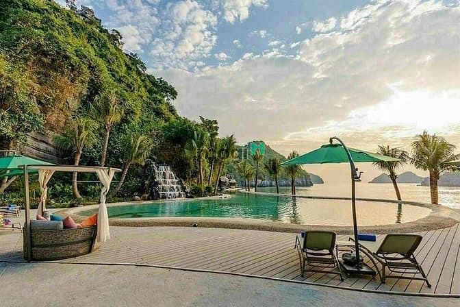 Hình ảnh 𝐜𝐡𝐢̉ 𝐭𝐮̛̀ 700𝐭𝐫 hữu ngay 𝐒𝐞𝐜𝐨𝐧𝐝𝐡𝐨𝐦𝐞 tại 𝐅𝐥𝐚mingo