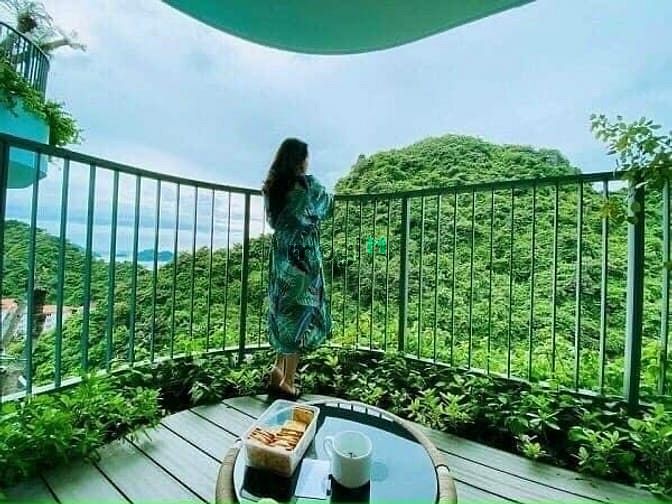 Hình ảnh 𝐜𝐡𝐢̉ 𝐭𝐮̛̀ 700𝐭𝐫 hữu ngay 𝐒𝐞𝐜𝐨𝐧𝐝𝐡𝐨𝐦𝐞 tại 𝐅𝐥𝐚mingo